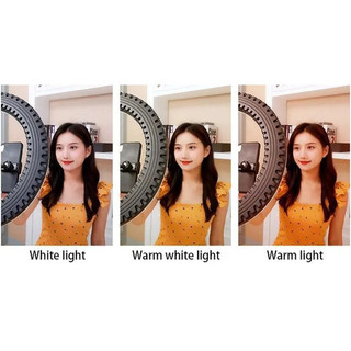 Đèn Led Ring livestream HQ HL Studio