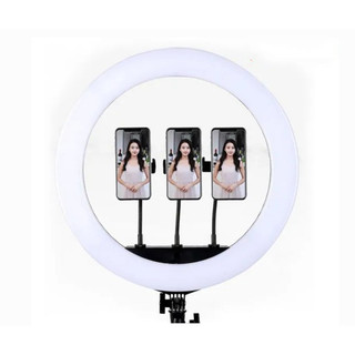 Đèn Led Ring livestream HQ HL Studio