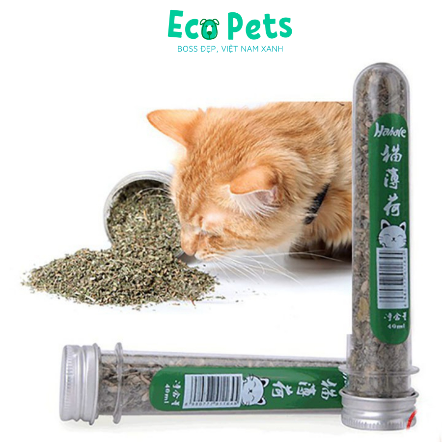 Đồ chơi chó mèo ECOPETS Ống cỏ khô bạc hà canip bạc hà mèo giúp giảm stress hứng khởi - 45ml