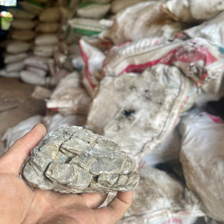 Đá Da Voi Hồ Thuỷ Sinh