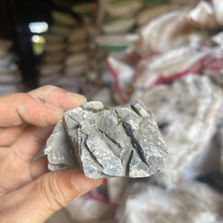 Đá Da Voi Hồ Thuỷ Sinh