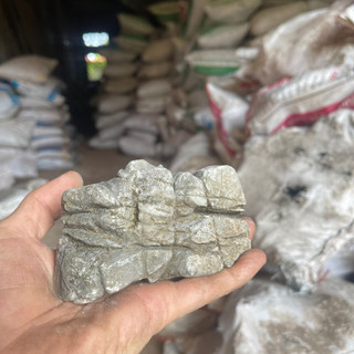 Đá Da Voi Hồ Thuỷ Sinh