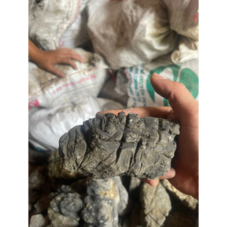 Đá Da Voi Hồ Thuỷ Sinh