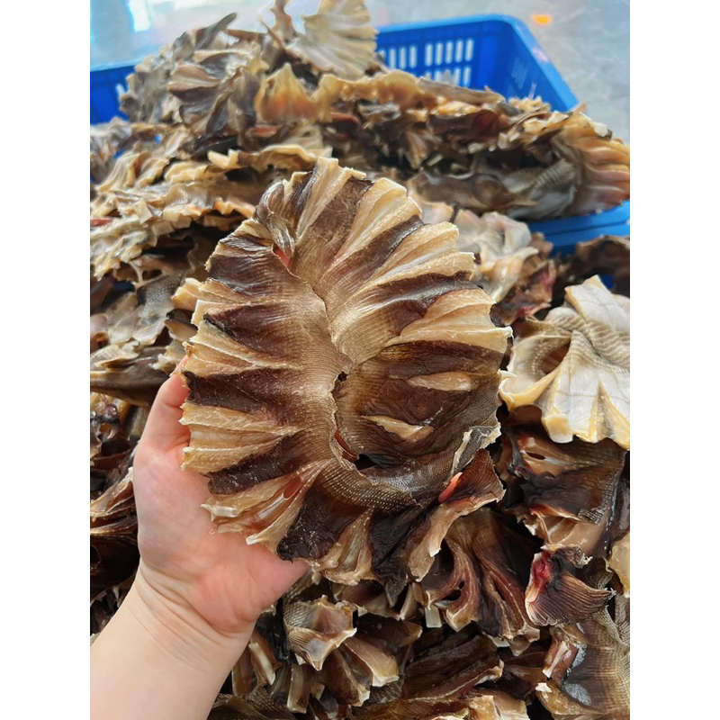 Cá đuối ghim ( 500 gram)