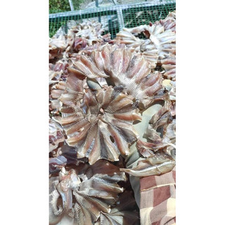 Cá đuối ghim ( 500 gram)
