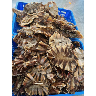 Cá đuối ghim ( 500 gram)