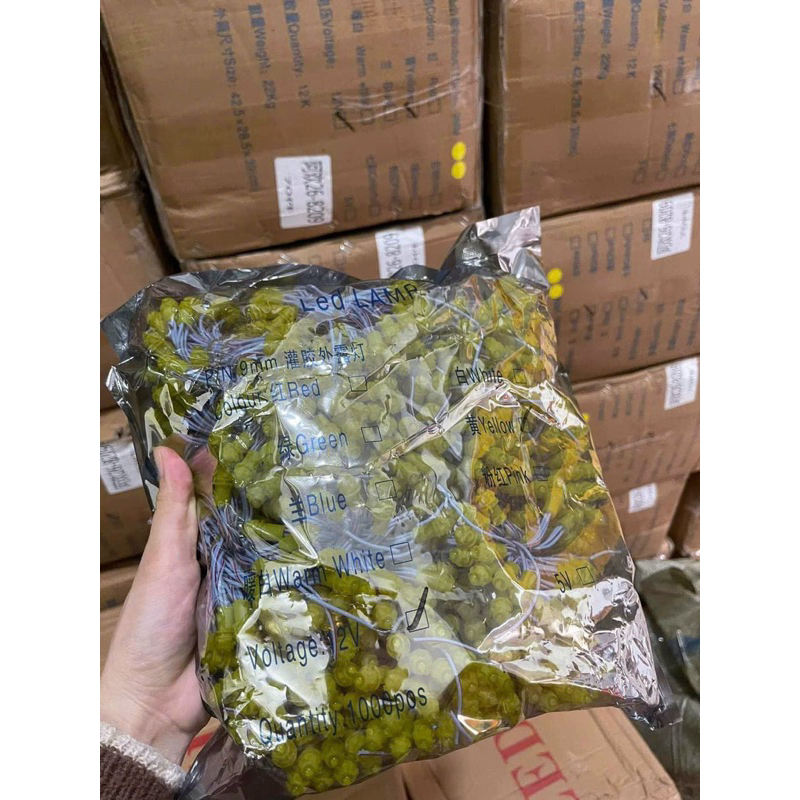 Led đúc F5 đế 9m 12V chống nước, trang trí ngoài trời, quán cafe, quấn cây, làm biển quảng cáo