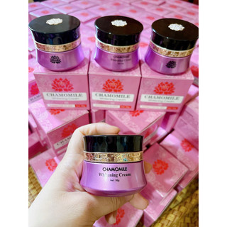 kem chamomile hồng sâm [ mẫu mới 2021 ]