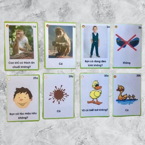 CÂU HỎI CÓ KHÔNG - THẺ HỌC LIỆU CHO BÉ GIÚP PHÁT TRIỂN NHẬN THỨC