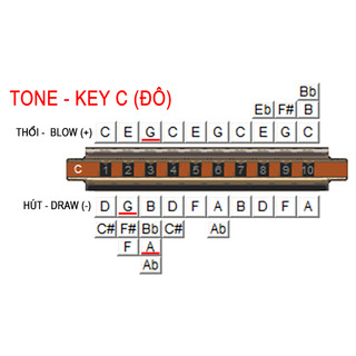 Kèn Harmonica Suzuki Folk Master 1072 key C