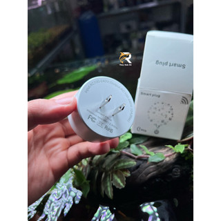 HẸN GIỜ TIMER WIFI (bản loại tốt 2 chấu)