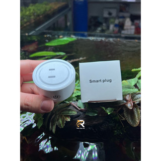 HẸN GIỜ TIMER WIFI (bản loại tốt 2 chấu)