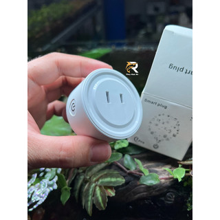 Hẹn giờ timer wifi