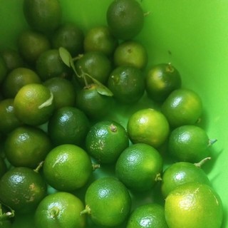 Bánh tráng giò
