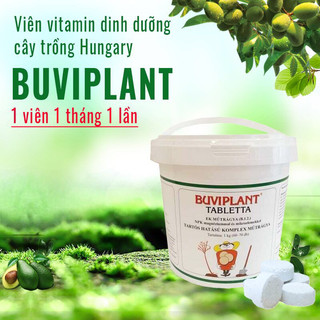 Hộp 200 viên Phân tan chậm BUVIPLANT Thần dược cho các loại cây . Thân thiện môi trường,tiện lợi cho người sử dụng .
