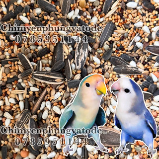1kg ngũ cốc hỗn hợp cho vẹt Lovebird, Cockatiel, Parrotlet...