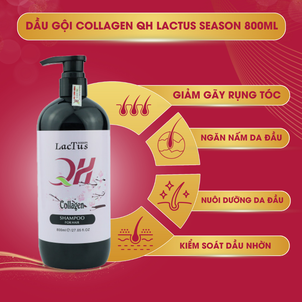 Dầu gội collagen QH Lactus season dầu gội cho da dầu bết, ngăn gàu combo dầu gội dầu xả ngăn rụng tóc 800ML