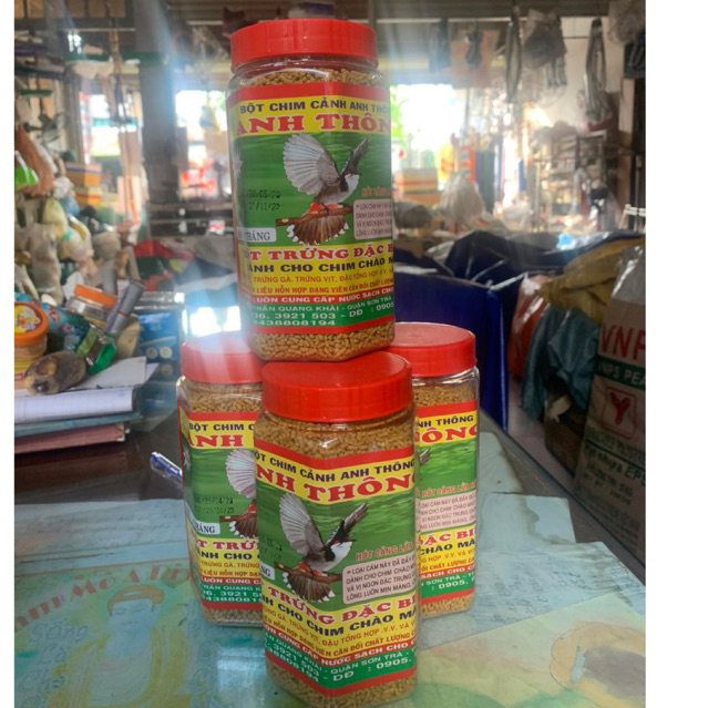 Cám Chim Chào Mào Anh Thông