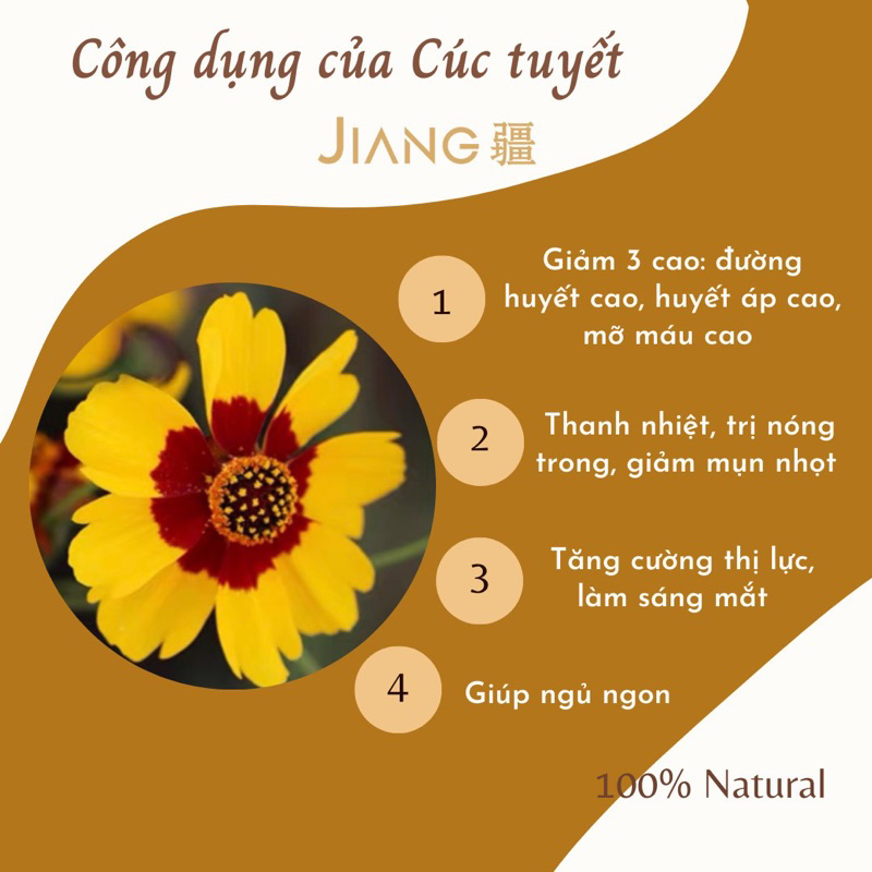 Trà cúc tuyết Tây Tạng Côn Luân tự nhiên thượng hạng 50g_Jiang