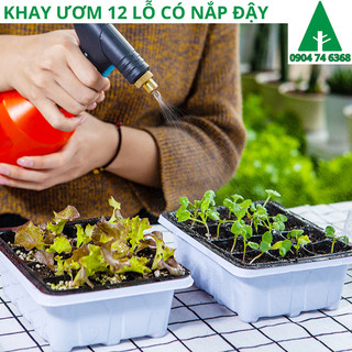Khay Ươm Hạt giống 12 Lỗ, khay có nắp đậy, khay lót giữ nước