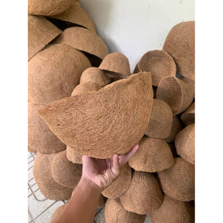 Combo 10 miếng lót xơ dừa 25cm