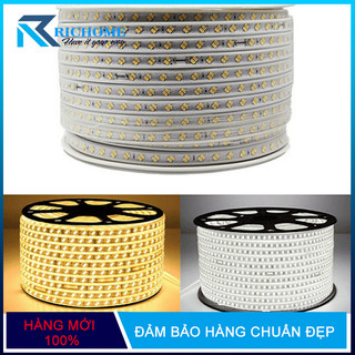 Đèn Led dây đôi 5730 siêu sáng 2 hàng bóng chéo cao cấp ( Đơn giá/ 1 mét)