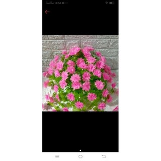 Bộ hoa cúc lụa nguyên liệu tự làm hoa
