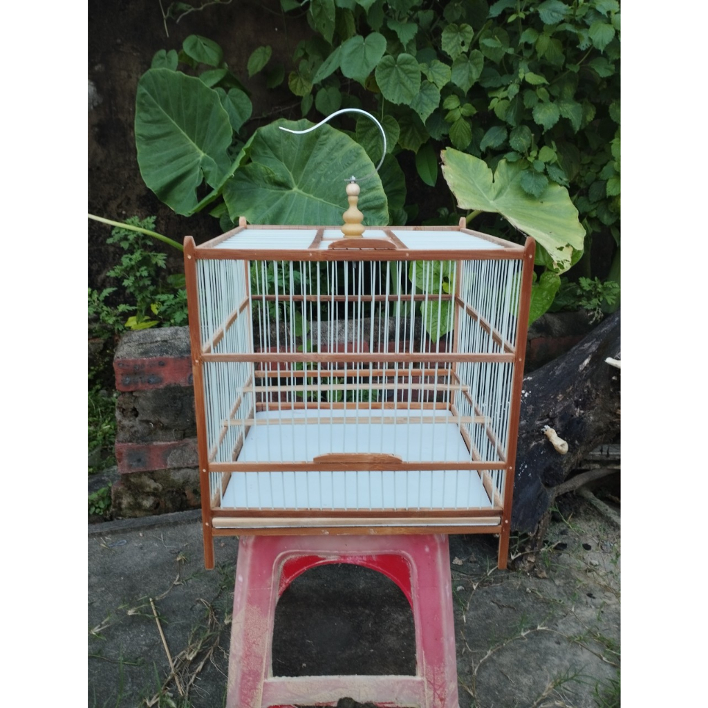 Khung khuyên tự ráp , Khung khuyên phóng , Khung cho chim khuyên, hút mật ,ốc mít