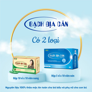 Bạch địa căn HOSE (xanh)