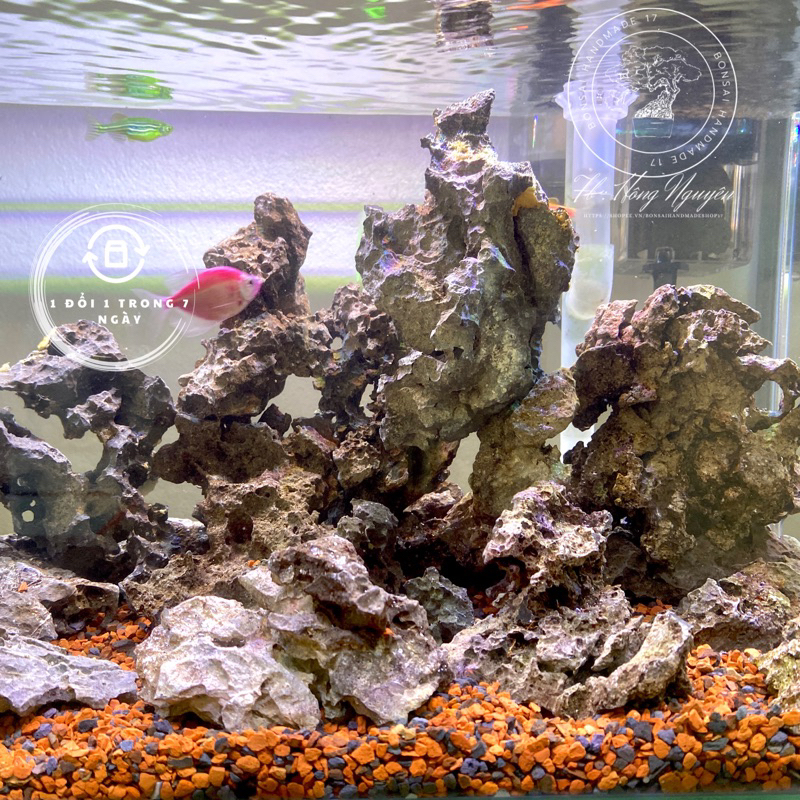 Đá Tai Mèo 1Kg Size 4 viên trang trí tiểu cảnh,bể cá,ghép đá bonsai ,Bonsai Handmade 17, Bonsai mini để bàn,bonsai