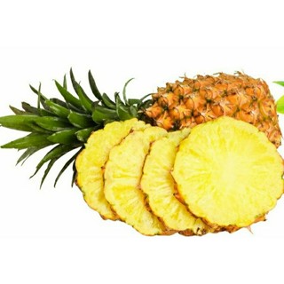 giống dứa, combo 20[10 dứa Md2, 10 dứa mật]