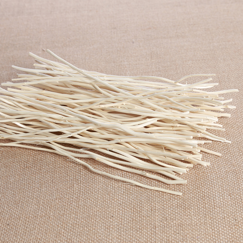 GIÁ SỈ - Que Khuếch Tán Tinh Dầu LALUNA.CENT - Que Nhánh Nhỏ Toả Hương Thơm Phòng Trang Trí C06