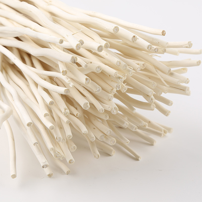 GIÁ SỈ - Que Khuếch Tán Tinh Dầu LALUNA.CENT - Que Nhánh Nhỏ Toả Hương Thơm Phòng Trang Trí C06