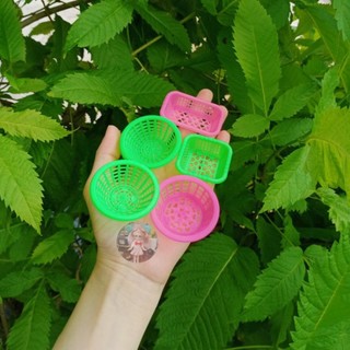 Combo 5 rổ nhựa mini