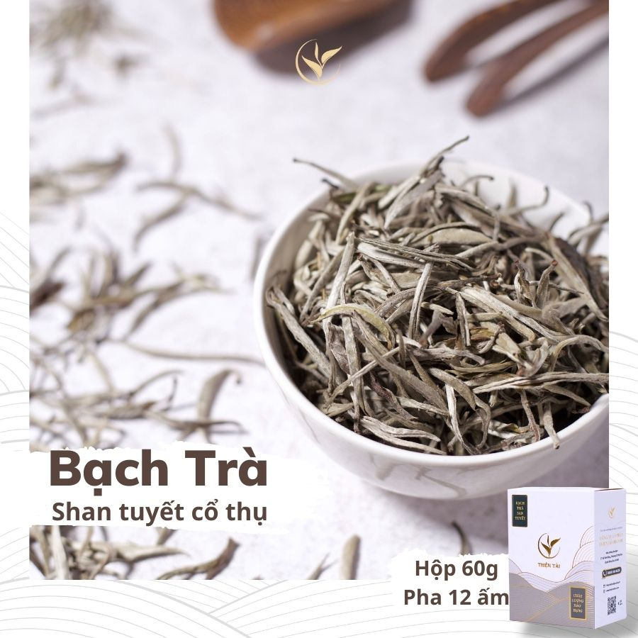 Bạch Trà Shan Tuyết Cổ Thụ Thiện Tài Búp Trà Cổ Thụ Hà Giang Vụ Xuân Hộp Biếu Tặng Hảo Hạng