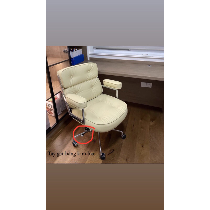 _Ghế Robin chair văn phòng