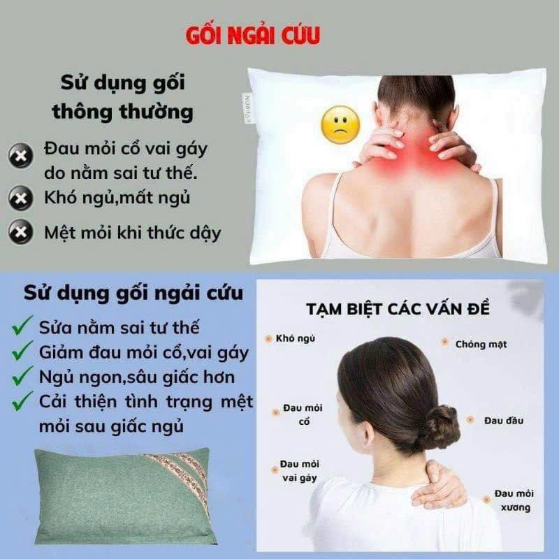 Combo 2 ruột GỐI NGẢI CỨU xuất khẩu