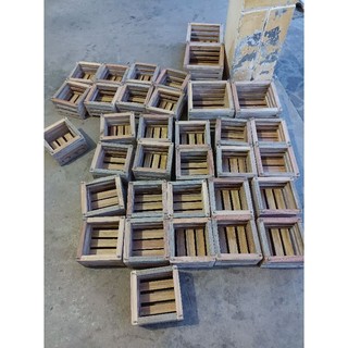 Combo 10 chậu gỗ trồng lan hình vuông 13x13cm