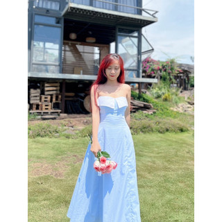 Đầm cúp ngực dáng dài SARA DRESS