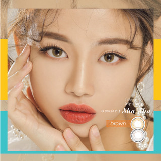 Kính áp tròng  Hàn quốc 1 tháng màu nâu mắt mèo cho mắt khô, yếu, nhạy cảm - My Ann Shasha Brown, Ann365 lens
