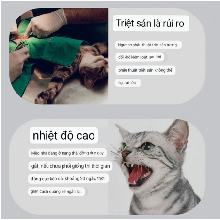 Siro Chống Động Dục Làm Dịu Cảm Xúc Ham Muốn Cho Mèo Cái Và Mèo Đực, Không Kêu La Dùng Cho Mèo Không Triệt Sản 50ml