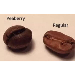 500GR CÀ PHÊ HẠT CULI ROBUSTA  RANG MỘC PHA MÁY - COFFEE RANG BƠ