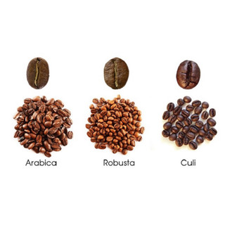 500GR CÀ PHÊ HẠT ROBUSTA HONEY RANG MỘC PHA MÁY -COFFEE RANG BƠ
