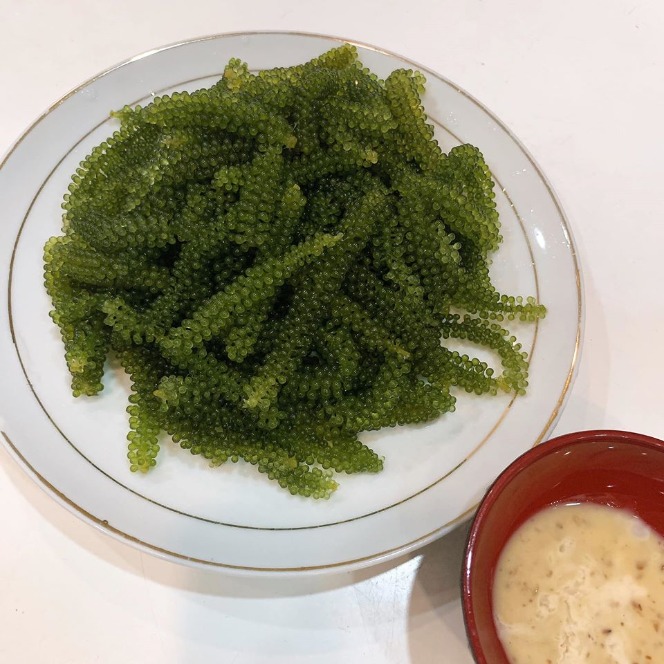 Rong nho tươi tách nước kèm sốt mè rang kyodo combo 5 gói hàng chất lượng cao - rong nho trang phạm.