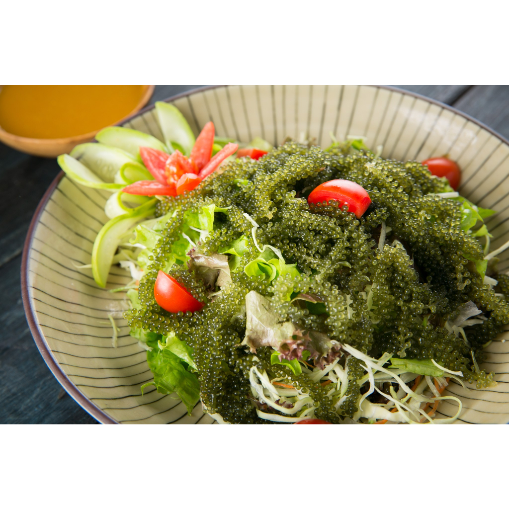 Rong nho tươi tách nước kèm sốt mè rang kyodo combo 5 gói hàng chất lượng cao - rong nho trang phạm.