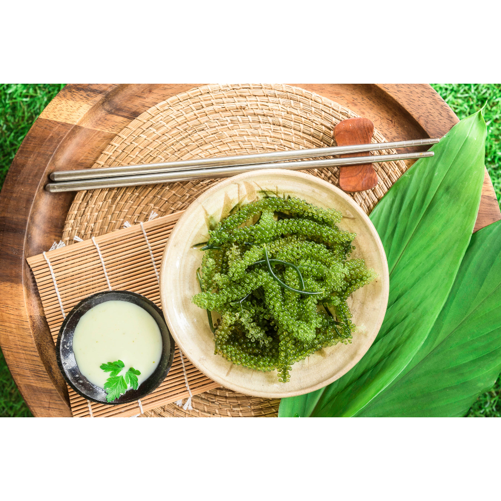 Rong nho tươi tách nước kèm sốt mè rang kyodo combo 5 gói hàng chất lượng cao - rong nho trang phạm.