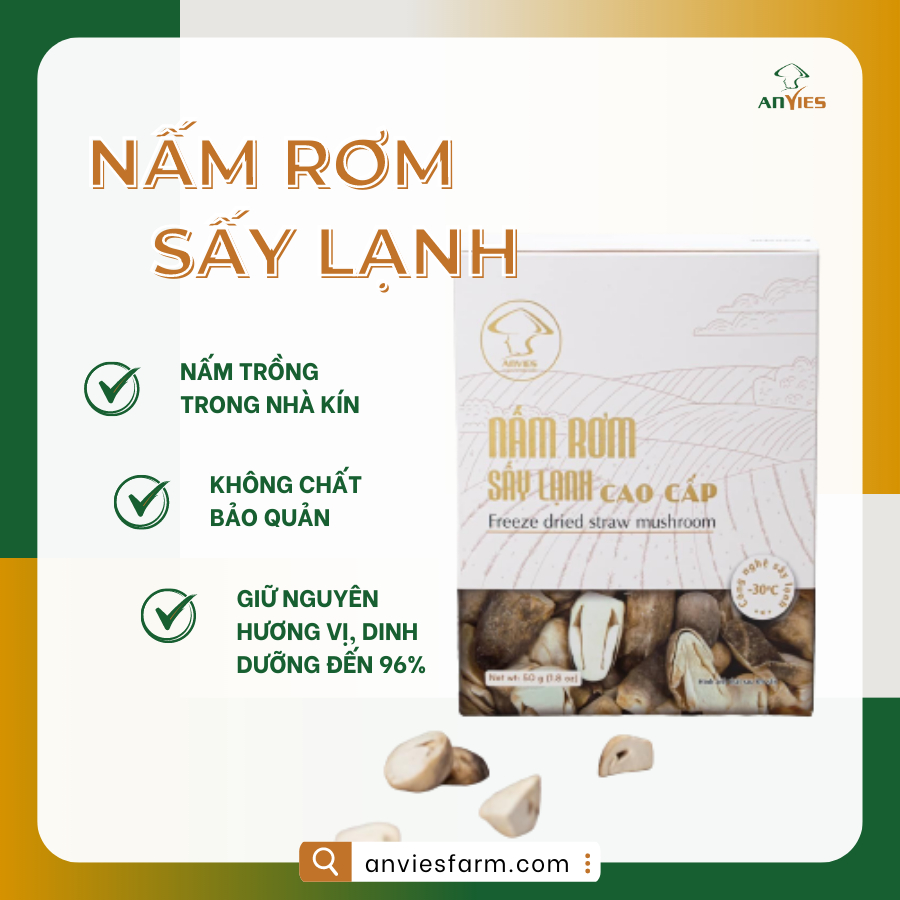 Nấm rơm khô 20g Anvies - nấm rơm sấy lạnh ngon như nấm tươi