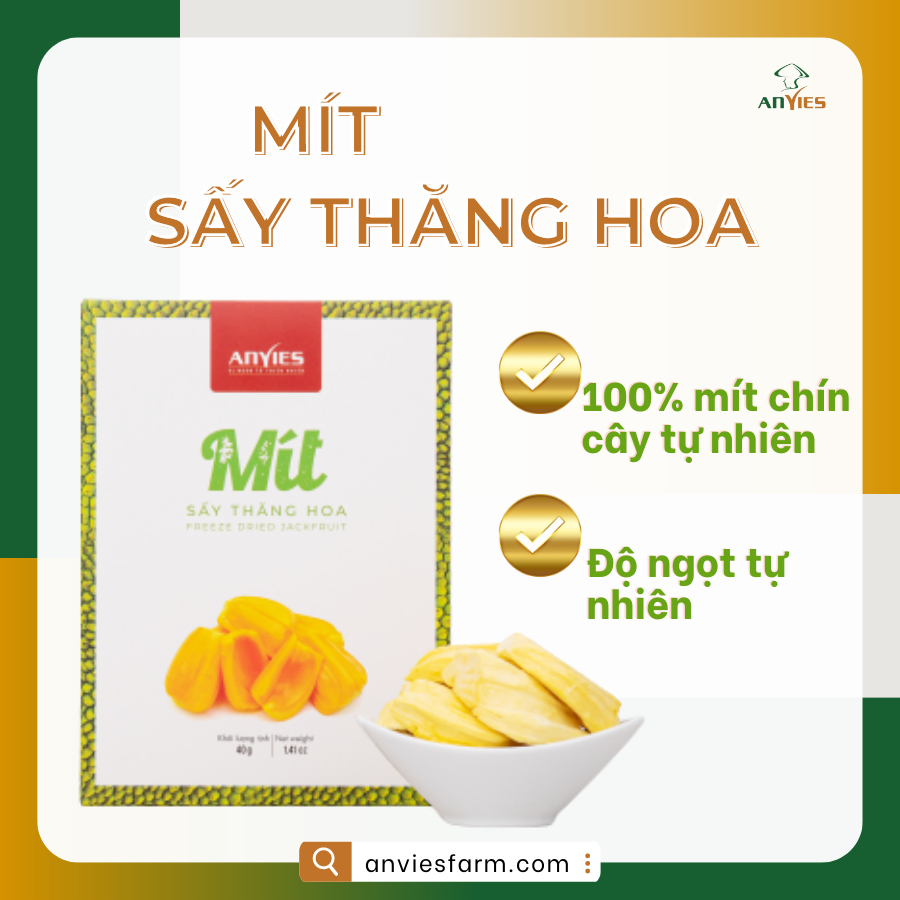 Mít Sấy Thăng Hoa Anvies Giữ Trọn Vẹn Vị Thơm Ngon Vitamin Và Khoáng Chất - 40g