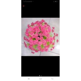 Hoa gấm cánh tròn 84 bông