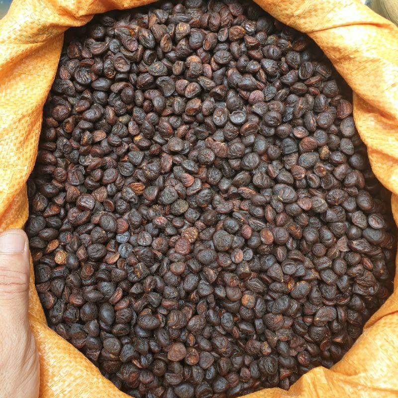 Hạt dổi 1kg